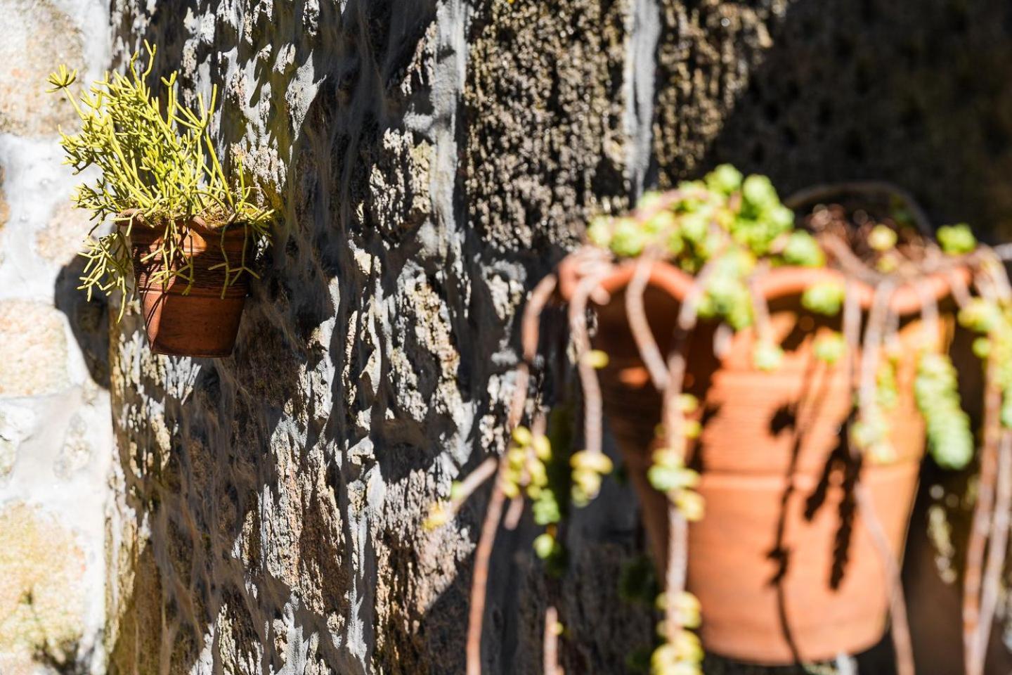 Guestready - Feels Like Home In Centre Of Oporto Exterior foto